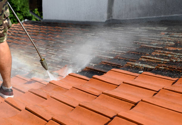 Best Roof Power Washing Services  in Ely, MN