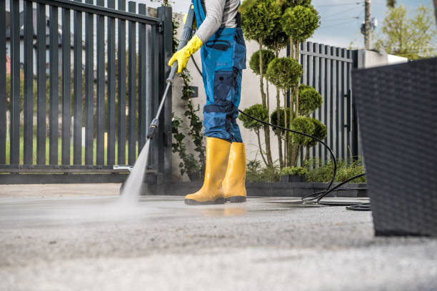 Best Concrete Pressure Washing  in Ely, MN