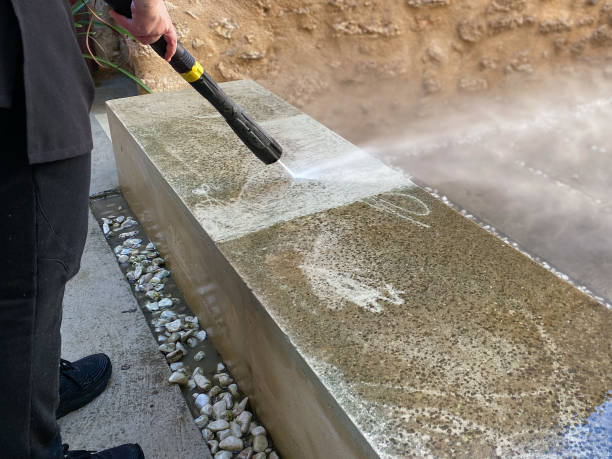 Best Affordable Power Washing  in Ely, MN