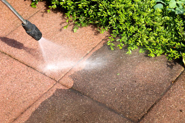 Best Pressure Washing Siding  in Ely, MN
